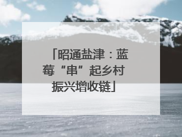 昭通盐津：蓝莓“串”起乡村振兴增收链