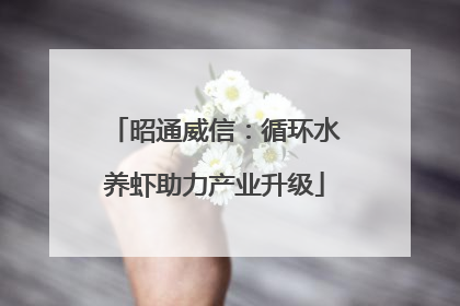 昭通威信：循环水养虾助力产业升级
