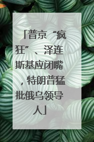 普京“疯狂”、泽连斯基应闭嘴，特朗普猛批俄乌领导人