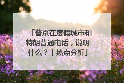普京在度假城市和特朗普通电话，说明什么？丨热点分析