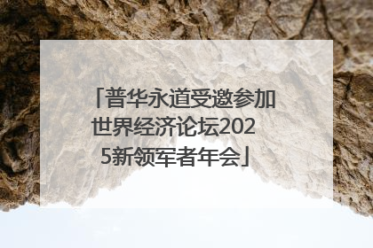 普华永道受邀参加世界经济论坛2025新领军者年会