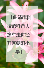 曲靖市科技馆科普大篷车走进经开区朝阳小学