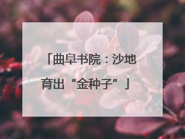 曲阜书院：沙地育出“金种子”