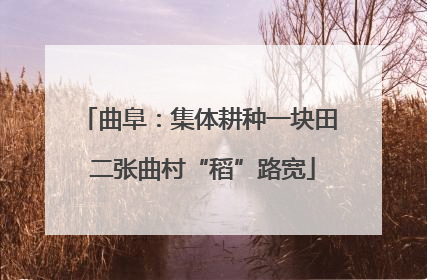 曲阜：集体耕种一块田 二张曲村“稻”路宽