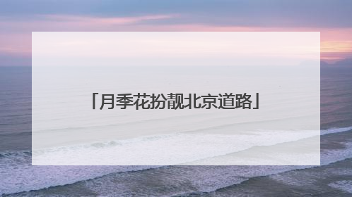 月季花扮靓北京道路