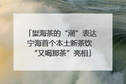 望海茶的“潮”表达 宁海首个本土新茶饮“又喝那茶”亮相