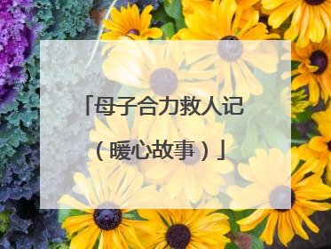 母子合力救人记（暖心故事）