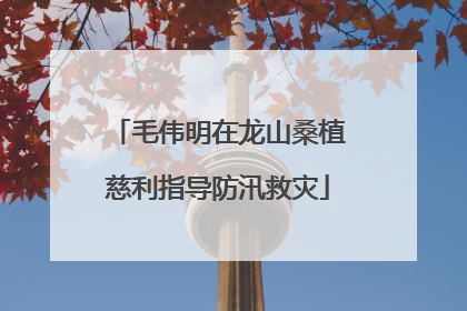 毛伟明在龙山桑植慈利指导防汛救灾