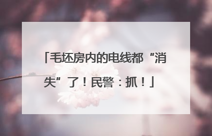 毛坯房内的电线都“消失”了！民警：抓！
