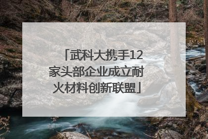 武科大携手12家头部企业成立耐火材料创新联盟