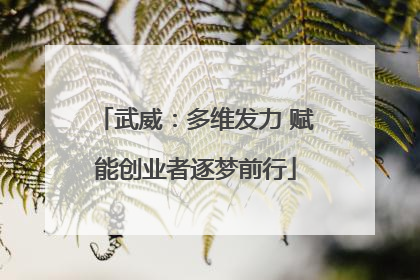 武威：多维发力 赋能创业者逐梦前行