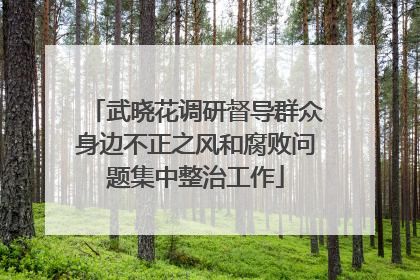 武晓花调研督导群众身边不正之风和腐败问题集中整治工作