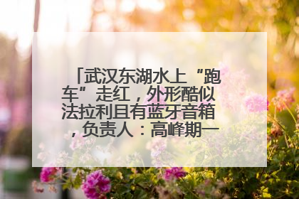 武汉东湖水上“跑车”走红，外形酷似法拉利且有蓝牙音箱，负责人：高峰期一两百人排队