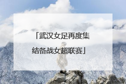 武汉女足再度集结备战女超联赛
