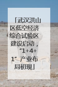 武汉洪山区低空经济综合试验区建设启动，“1+4+1”产业布局初现