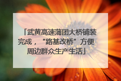 武黄高速蒲团大桥铺装完成，“路基改桥”方便周边群众生产生活