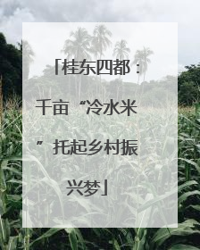 桂东四都：千亩“冷水米”托起乡村振兴梦