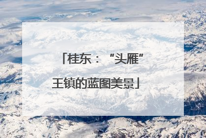 桂东：“头雁”王镇的蓝图美景
