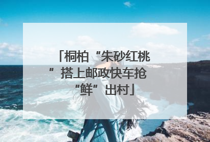 桐柏“朱砂红桃”搭上邮政快车抢“鲜”出村