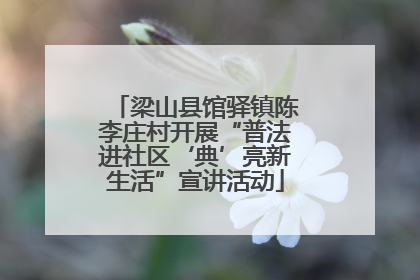梁山县馆驿镇陈李庄村开展“普法进社区‘典’亮新生活”宣讲活动