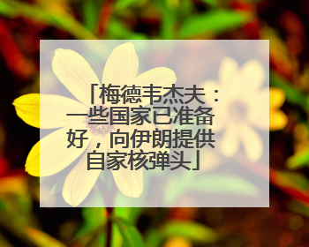 梅德韦杰夫：一些国家已准备好，向伊朗提供自家核弹头