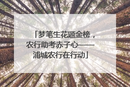 梦笔生花题金榜，农行助考赤子心——浦城农行在行动