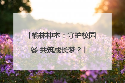 榆林神木：守护校园餐 共筑成长梦？