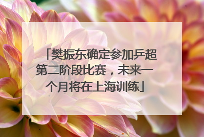 樊振东确定参加乒超第二阶段比赛，未来一个月将在上海训练