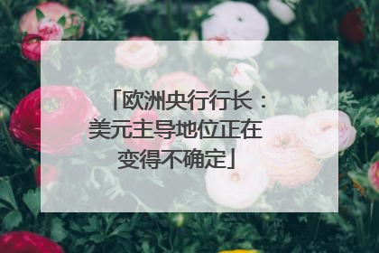 欧洲央行行长：美元主导地位正在变得不确定