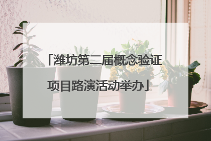 潍坊第二届概念验证项目路演活动举办