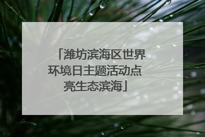 潍坊滨海区世界环境日主题活动点亮生态滨海