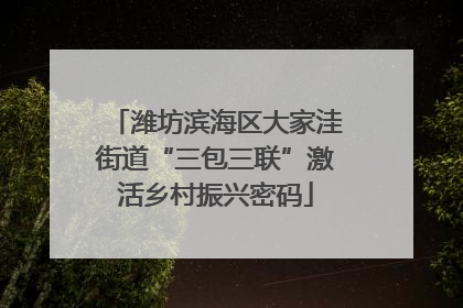 潍坊滨海区大家洼街道“三包三联”激活乡村振兴密码