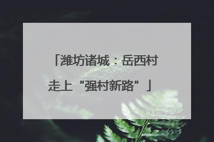 潍坊诸城：岳西村走上“强村新路”