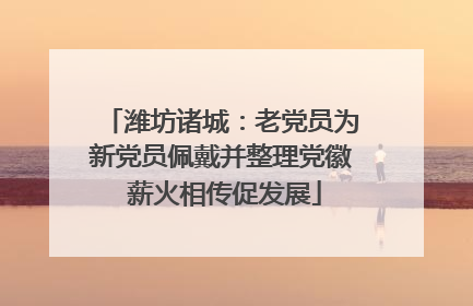潍坊诸城：老党员为新党员佩戴并整理党徽 薪火相传促发展
