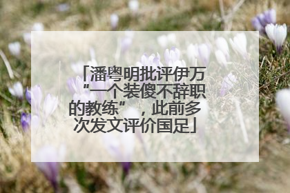 潘粤明批评伊万“一个装傻不辞职的教练”，此前多次发文评价国足