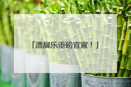 潘展乐重磅官宣！