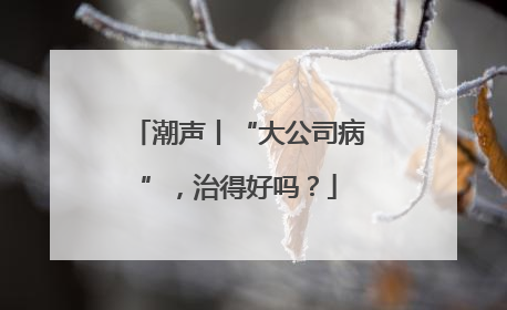 潮声丨“大公司病”，治得好吗？