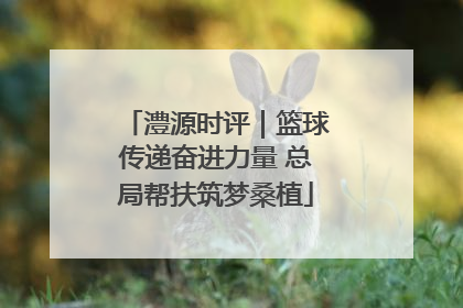 澧源时评｜篮球传递奋进力量 总局帮扶筑梦桑植