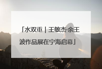 水双重｜王敏杰·余王波作品展在宁海启幕