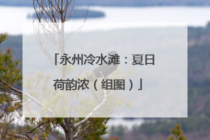 永州冷水滩：夏日荷韵浓（组图）