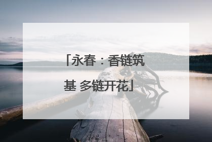 永春：香链筑基 多链开花