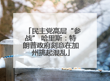 民主党高层“参战” 哈里斯：特朗普政府刻意在加州挑起混乱