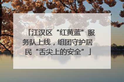 江汉区“红黄蓝”服务队上线，组团守护居民“舌尖上的安全”