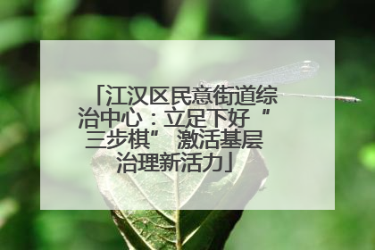 江汉区民意街道综治中心：立足下好“三步棋” 激活基层治理新活力