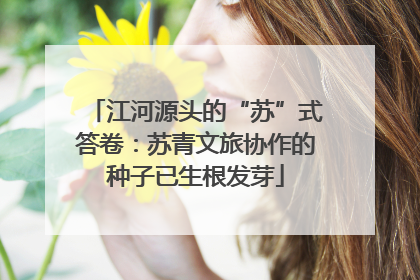 江河源头的“苏”式答卷：苏青文旅协作的种子已生根发芽