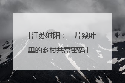江苏射阳：一片桑叶里的乡村共富密码