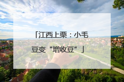 江西上栗：小毛豆变“增收豆”