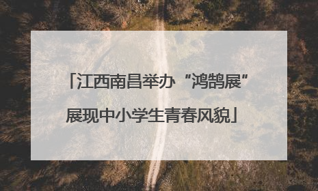 江西南昌举办“鸿鹄展” 展现中小学生青春风貌