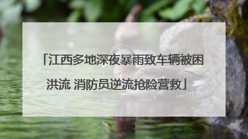 江西多地深夜暴雨致车辆被困洪流 消防员逆流抢险营救