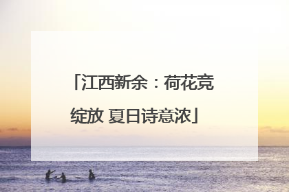 江西新余：荷花竞绽放 夏日诗意浓